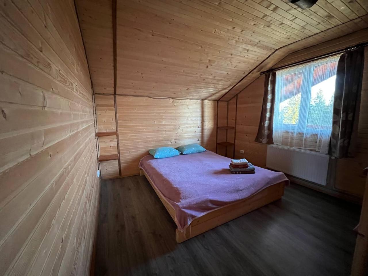 Шпінь 2 Villa Vorokhta Ngoại thất bức ảnh